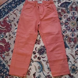 Everlane carpenter pant